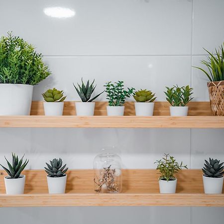 Apartamento La Tana Centro 2 Granada Exteriér fotografie