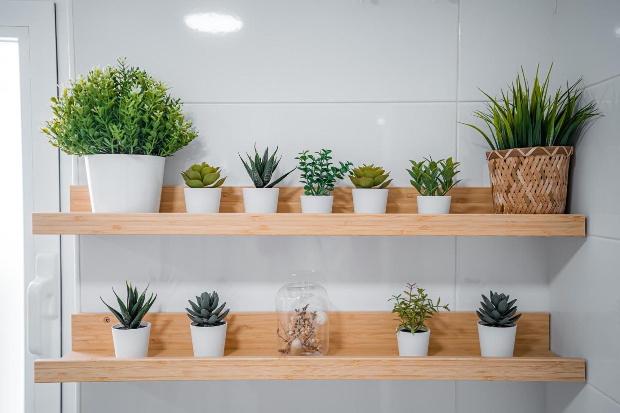 Apartamento La Tana Centro 2 Granada Exteriér fotografie